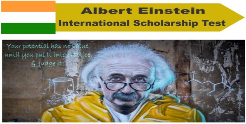 albert Einstein international scholarship test question papers-2024